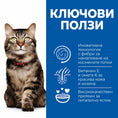 Заредете изображението в програмата за преглед на галерия, HILL’S SCIENCE PLAN ADULT HAIRBALL & PERFECT COAT – СУХА ХРАНА ЗА КОТКИ (1-6 Г.), ПРОТИВ КОСМЕНИ ТОПКИ И ЗА КРАСИВА КОЗИНА, С ПИЛЕШКО - Zoo-PetShop
