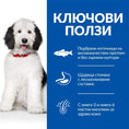 Заредете изображението в програмата за преглед на галерия, HILL’S SCIENCE PLAN ADULT HYPOALLERGENIC LARGE BREED със сьомга – Хипоалергенна суха храна без зърнени култури за кучета от 1 до 6 г. от едри породи над 25 кг. - Zoo-PetShop
