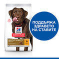 Заредете изображението в програмата за преглед на галерия, HILL'S SCIENCE PLAN Healthy Mobility Large Breed Adult Dog Chicken - Zoo-PetShop
