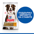 Заредете изображението в програмата за преглед на галерия, HILL'S SCIENCE PLAN Healthy Mobility Medium Adult Dog Chicken - Zoo-PetShop
