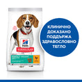 Заредете изображението в програмата за преглед на галерия, HILL'S SCIENCE PLAN Perfect Weight Medium Adult Chicken - Zoo-PetShop
