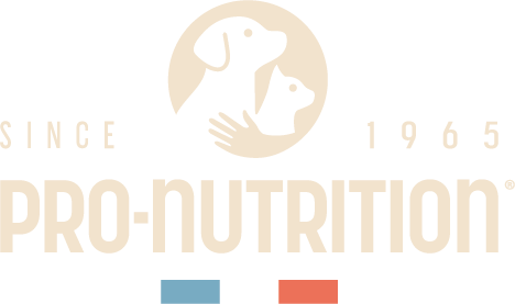 Pro Nutrition — оригинално лого